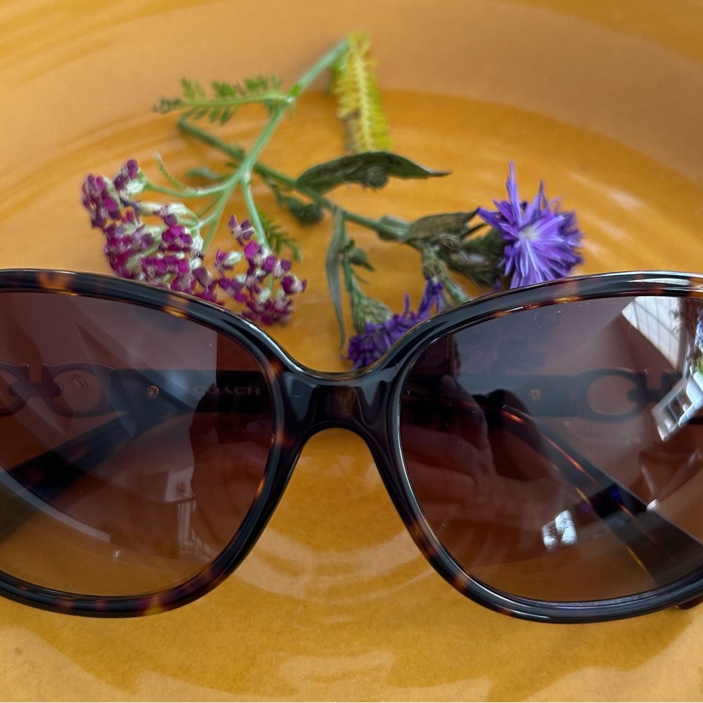 Coach Brown Tortoise Women's Sunglasses